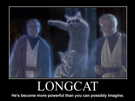 Longcat.jpg