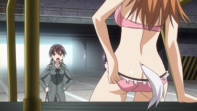 Strike Witches 2 cap (2)